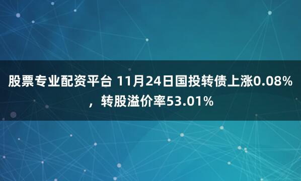 股票专业配资平台 11月24日国投转债上涨0.08%,转股溢价率53.01%