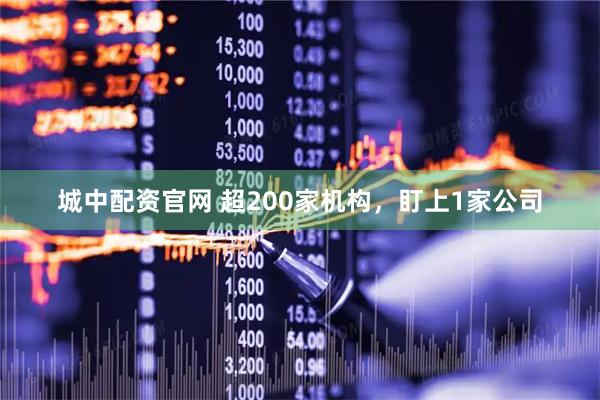 城中配资官网 超200家机构,盯上1家公司